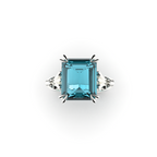 CLAWS AQUA Ring